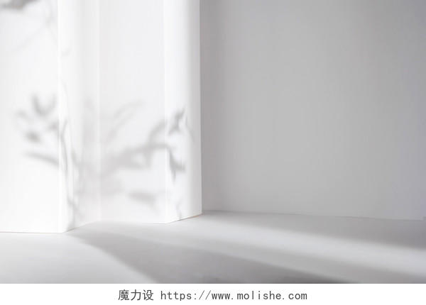 灰色简约大气墙壁墙面影子墙角植物花卉自然光影展板背景